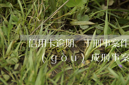 信用卡逾期屬于刑事案件嘛，信用卡逾期是否構(gòu)成刑事案件？探討其法律責(zé)任